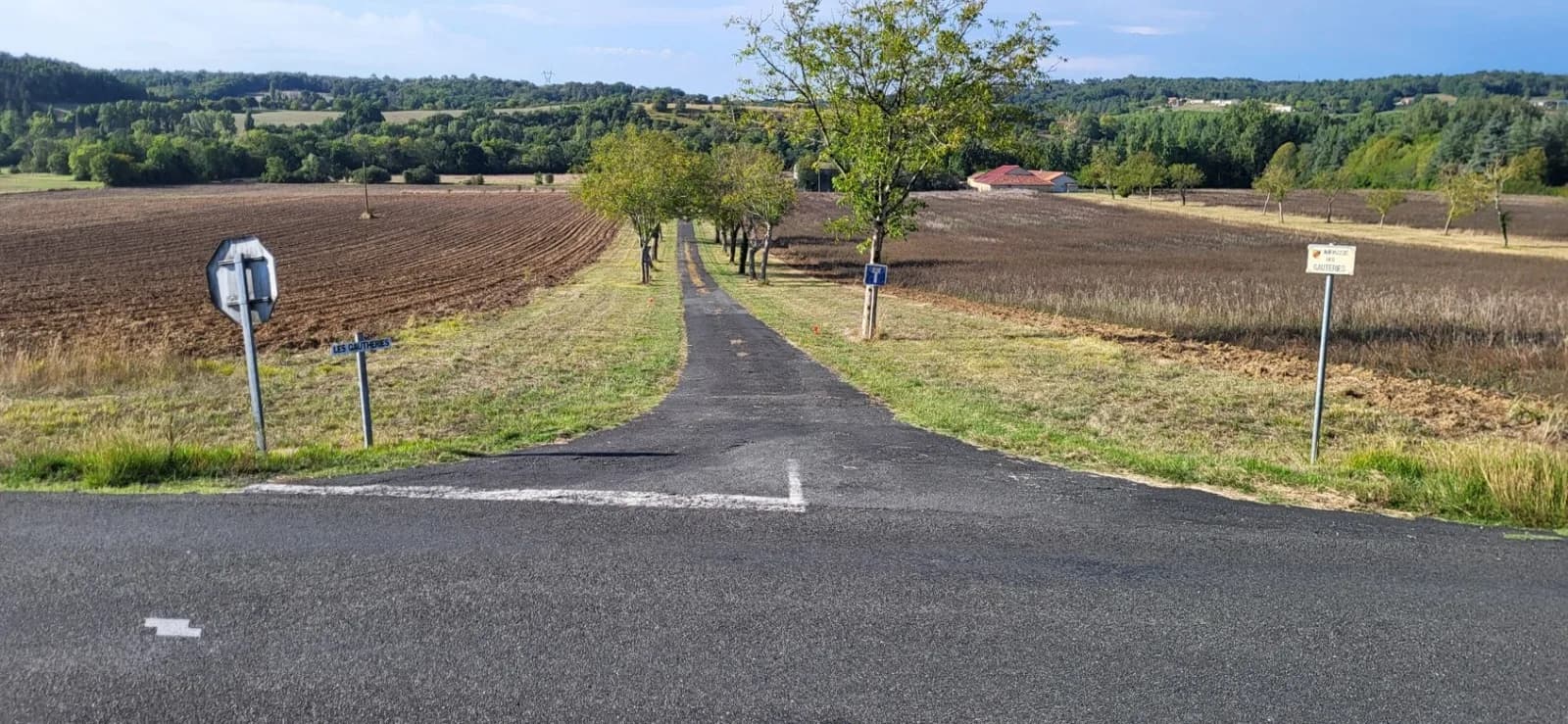 Le chemin rural des Gauteries aujourd'hui : champs labourés de part et d'autre, alignement de noyers