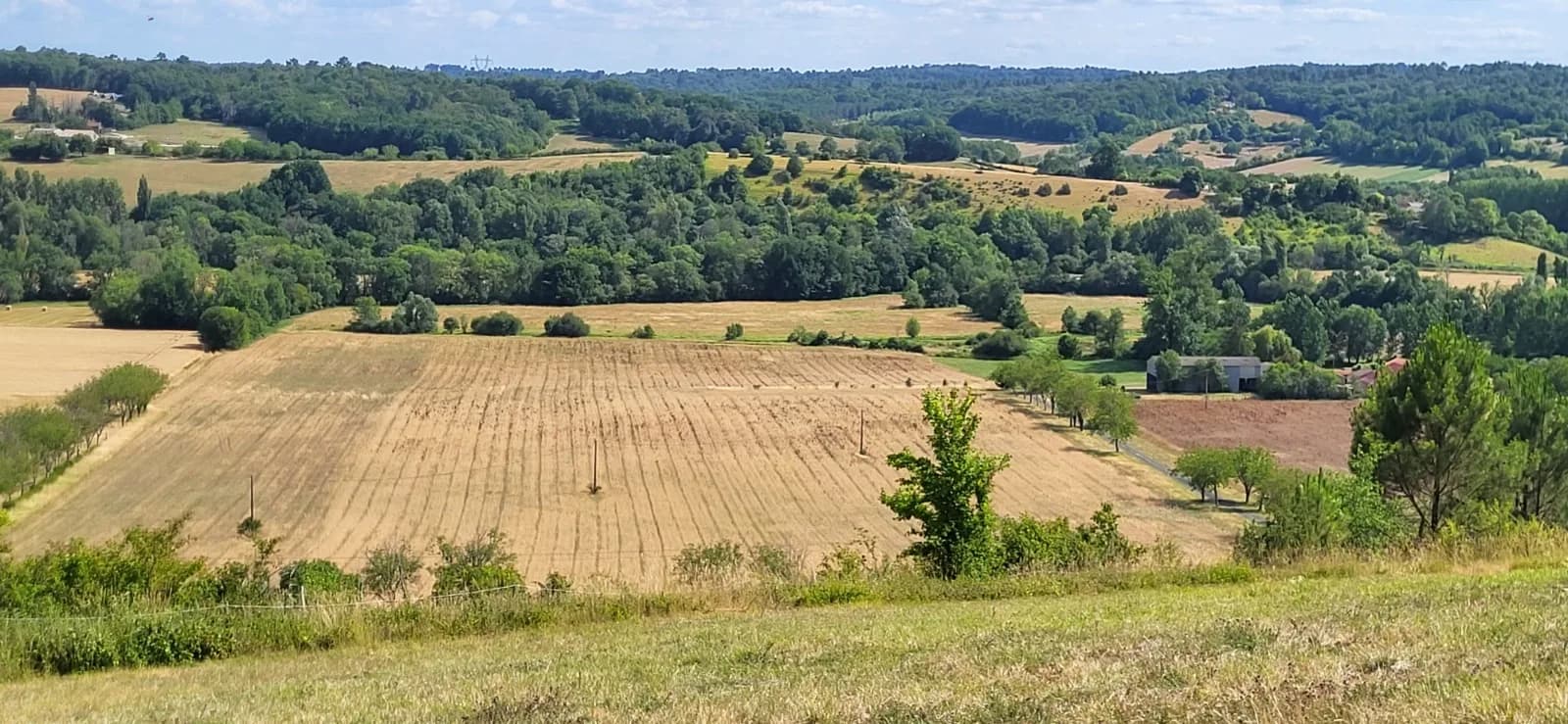 Les parcelles vues depuis le coteau : champs cultivés bordés d'arbres, vallée boisée en arrière-plan