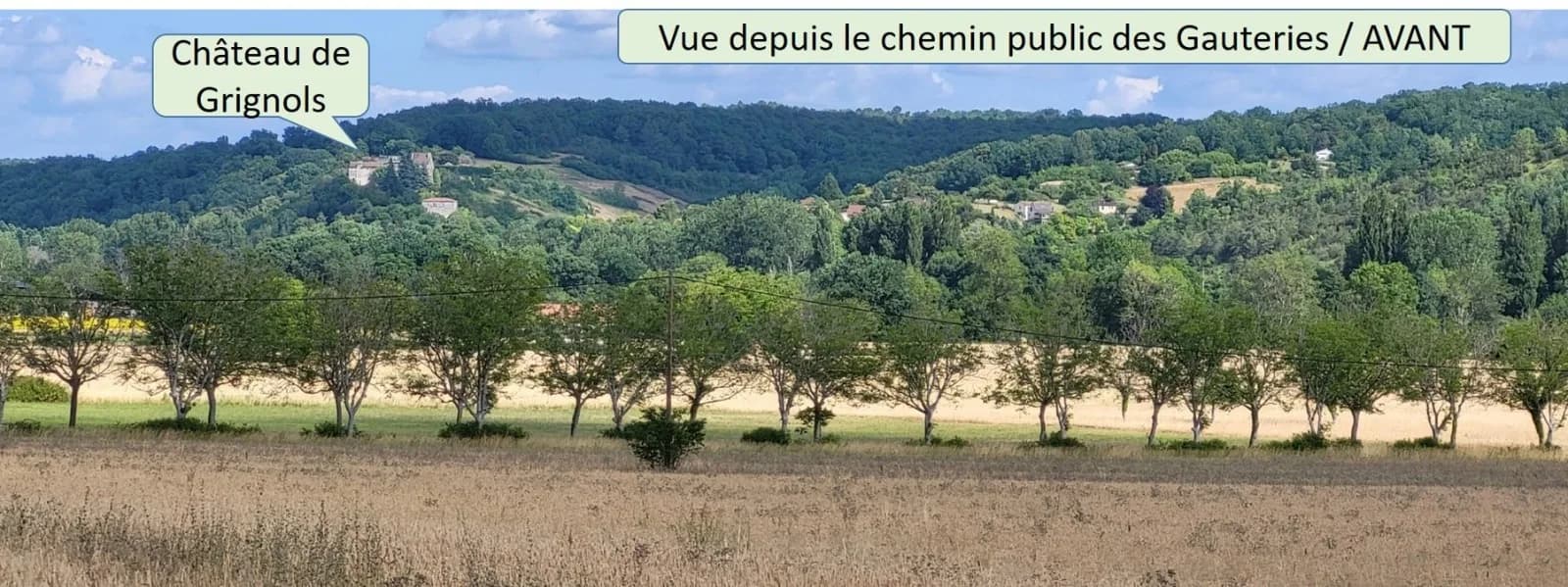 Le chemin public des Gauteries aujourd'hui : champs ouverts, rideau d'arbres et château de Grignols visible sur la colline boisée