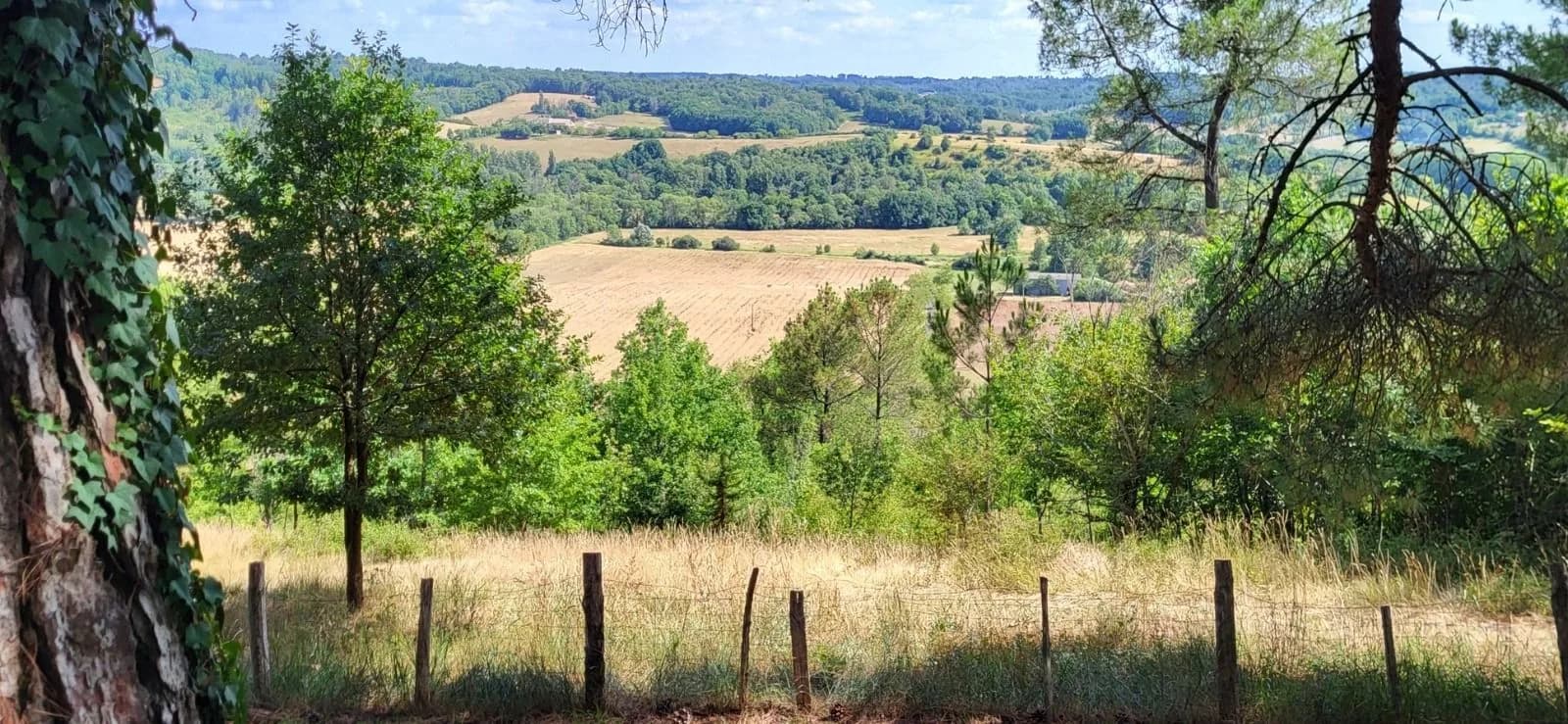 La vallée du Vern vue depuis les hauteurs boisées : prairies, cultures et coteaux arborés