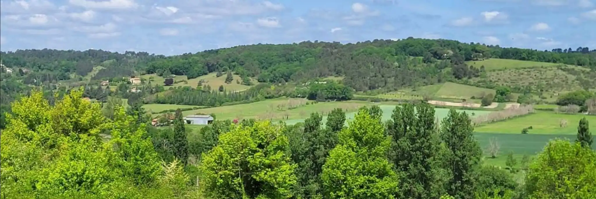 Les parcelles aujourd'hui — cultures biologiques
